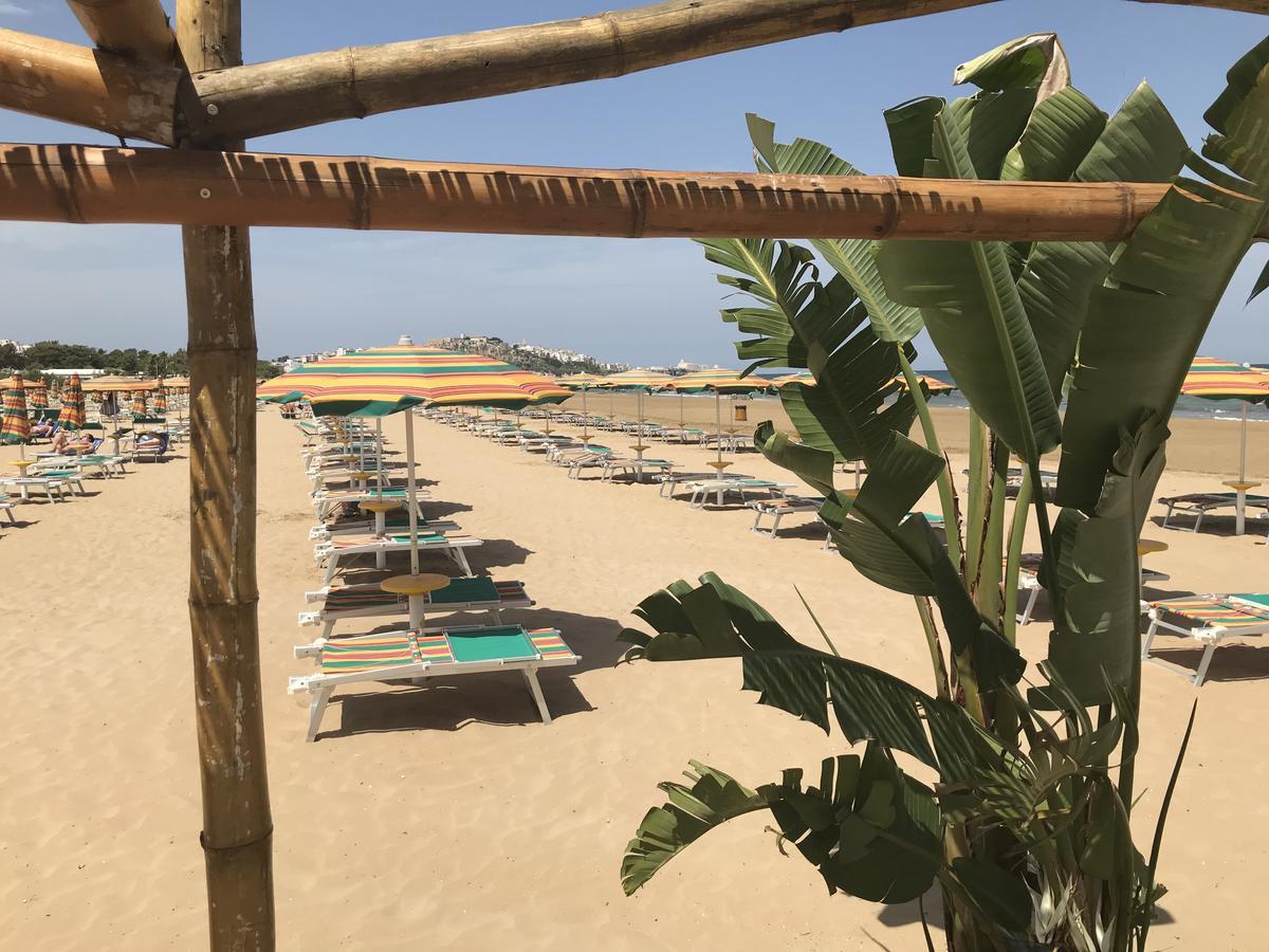 Oasi Beach Hotel Vieste Bagian luar foto